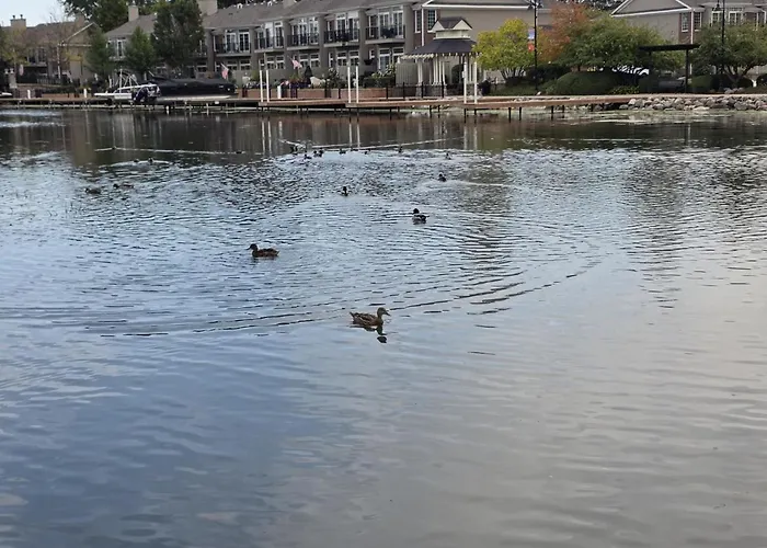 3br 2bth Waterfront Vacation On Riverwalk To Downtown With Pier McHenry